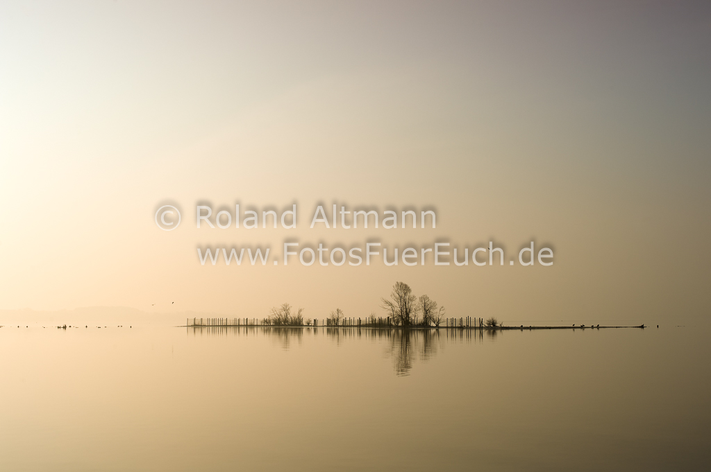 Preview 20150314_Roland_Altmann_7005570.jpg
